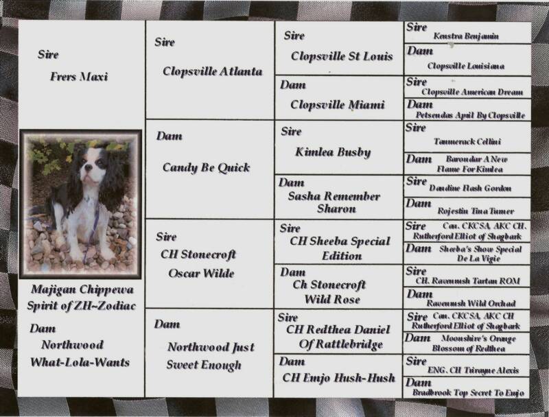 Cavalier King Charles Spaniel Majigan Chippewa Spirit of ZH~Zodiac
